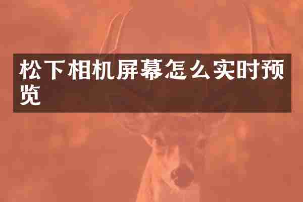 松下相机屏幕怎么实时预览