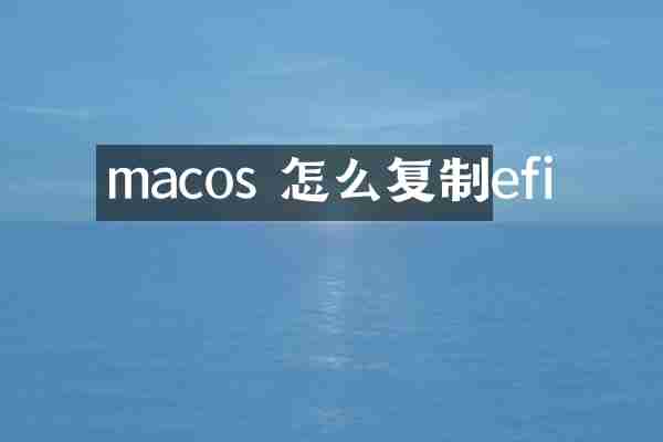 macos 怎么复制efi
