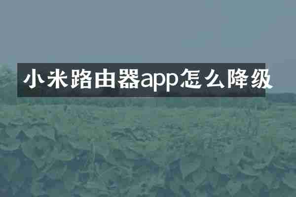 小米路由器app怎么降级