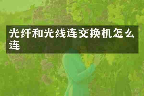 光纤和光线连交换机怎么连