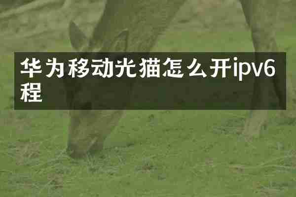 华为移动光猫怎么开ipv6教程