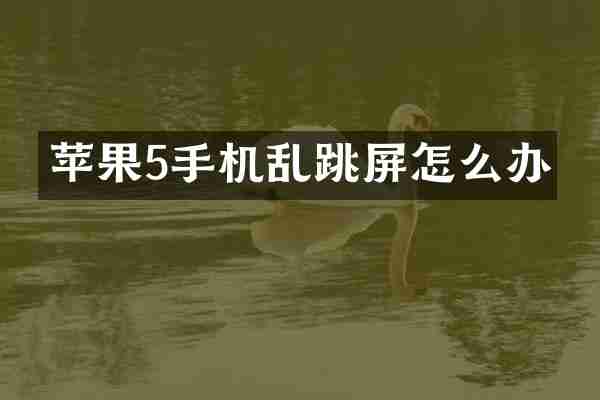 苹果5手机乱跳屏怎么办