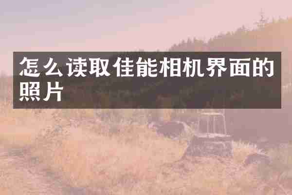 怎么读取佳能相机界面的照片
