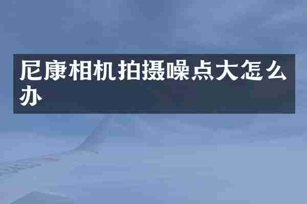 尼康相机拍摄噪点大怎么办