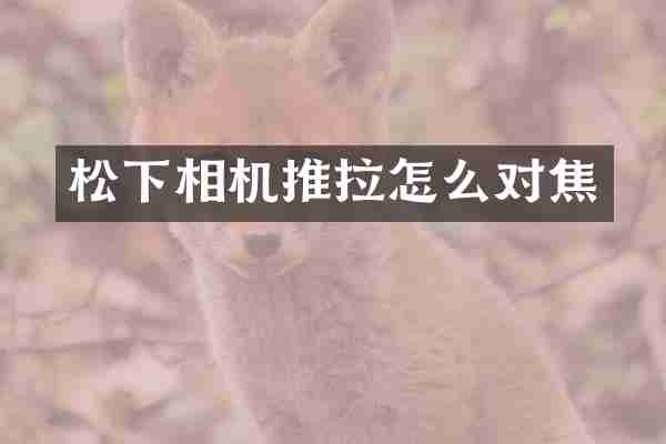 松下相机推拉怎么对焦