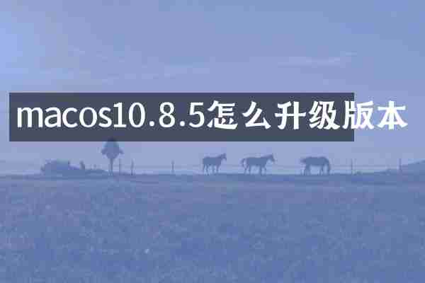 macos10.8.5怎么升级版本