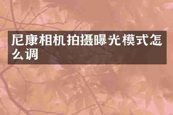 尼康相机拍摄曝光模式怎么调
