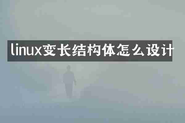 linux变长结构体怎么设计