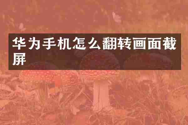 华为手机怎么翻转画面截屏