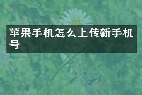 苹果手机怎么上传新手机号