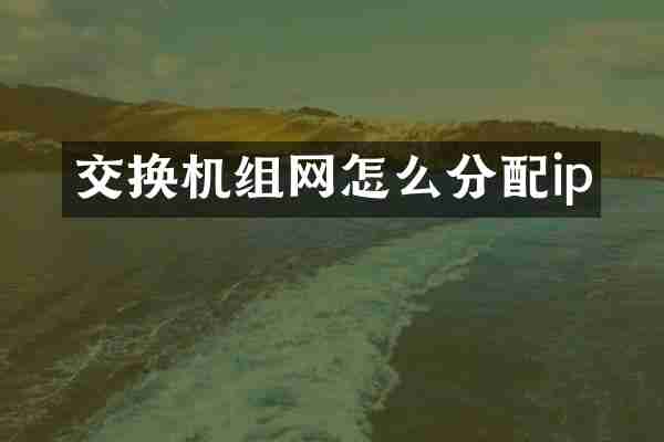 交换机组网怎么分配ip