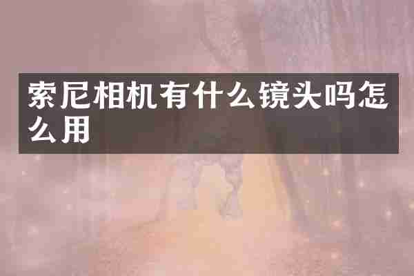 索尼相机有什么镜头吗怎么用