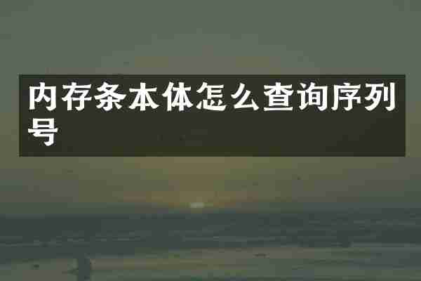 内存条本体怎么查询序列号