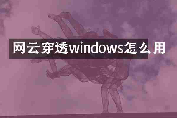 网云穿透windows怎么用