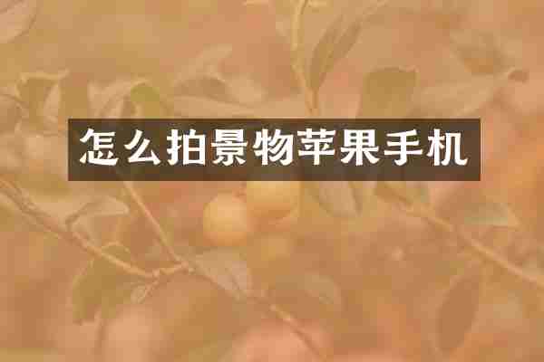 怎么拍景物苹果手机