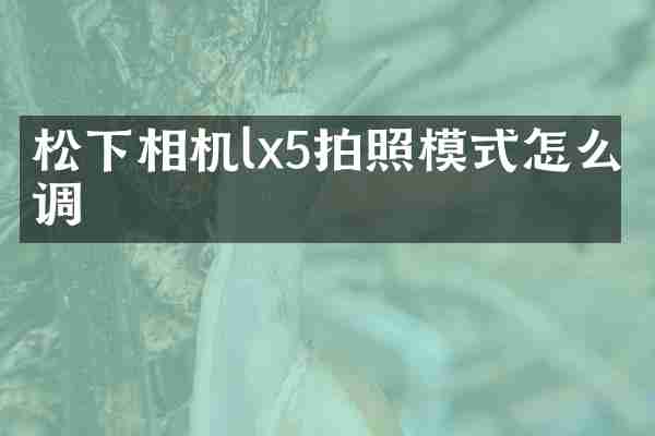 相机lx5拍照模式怎么调