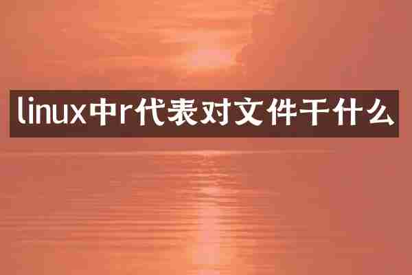 linux中r代表对文件干什么