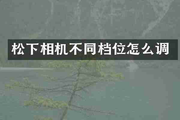 相机不同档位怎么调