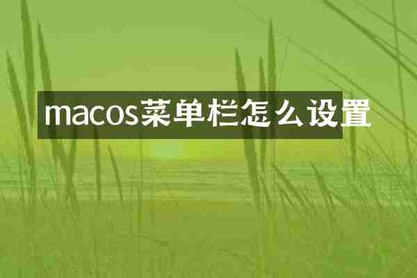 macos菜单栏怎么设置
