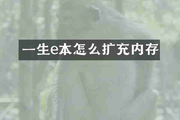 一生e本怎么扩充内存
