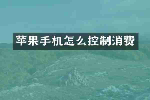 苹果手机怎么控制消费
