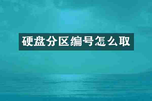 硬盘分区编号怎么取