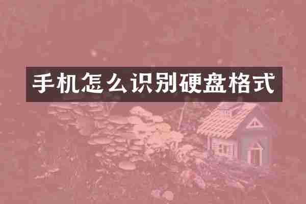 手机怎么识别硬盘格式