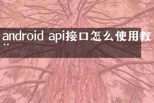 android api接口怎么使用教程