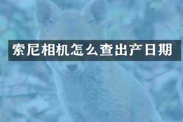 相机怎么查出产日期