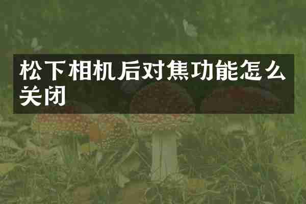 松下相机后对焦功能怎么关闭