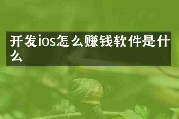 开发ios怎么赚钱软件是什么