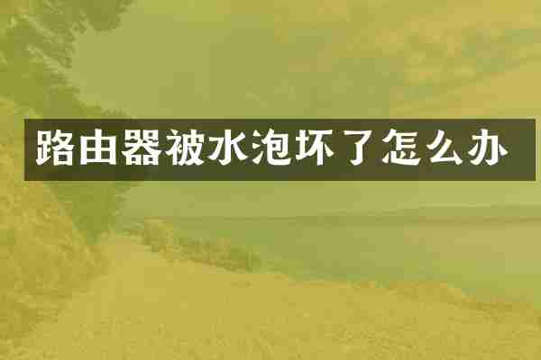 路由器被水泡坏了怎么办