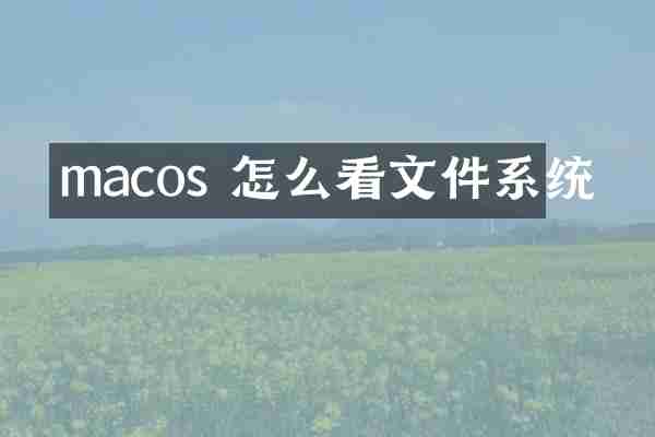 macos 怎么看文件系统