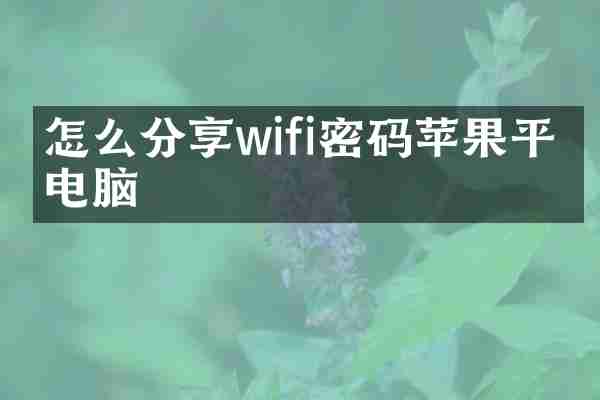 怎么分享wifi密码苹果平板电脑