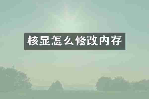 核显怎么修改内存