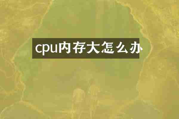 cpu内存大怎么办
