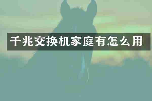 千兆交换机家庭有怎么用