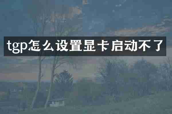 tgp怎么设置显卡启动不了