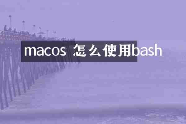 macos 怎么使用bash