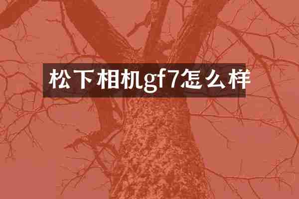相机gf7怎么样
