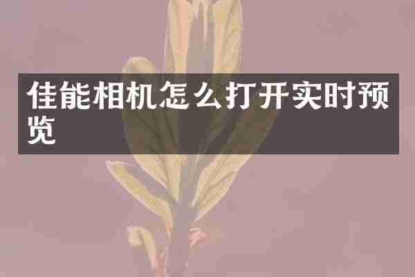 佳能相机怎么打开实时预览