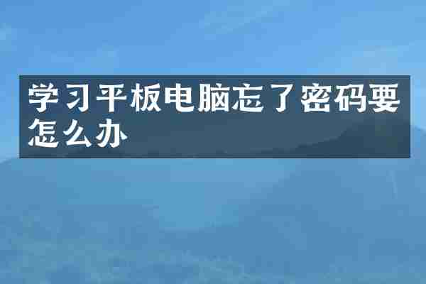 学习平板电脑忘了密码要怎么办