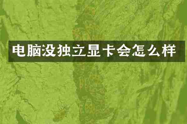 电脑没独立显卡会怎么样