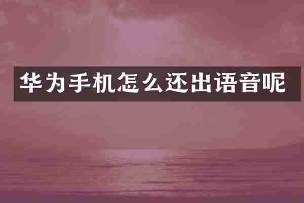 华为手机怎么还出语音呢