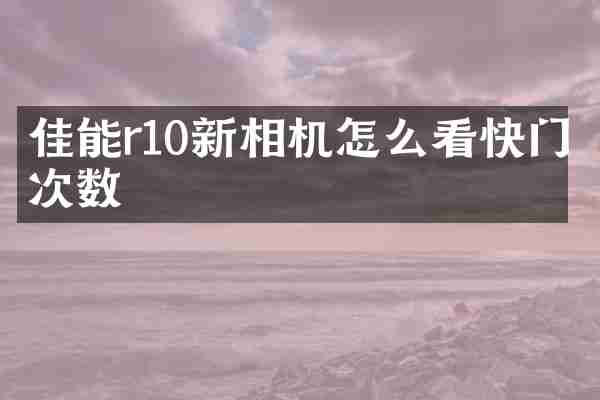 佳能r10新相机怎么看快门次数
