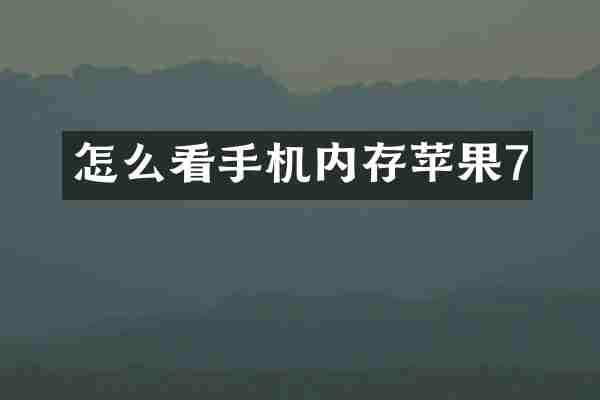 怎么看手机内存苹果7