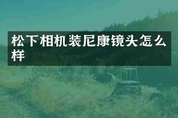 松下相机装尼康镜头怎么样