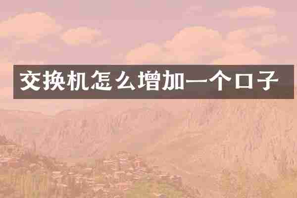 交换机怎么增加一个口子