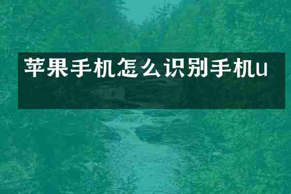 苹果手机怎么识别手机u盘