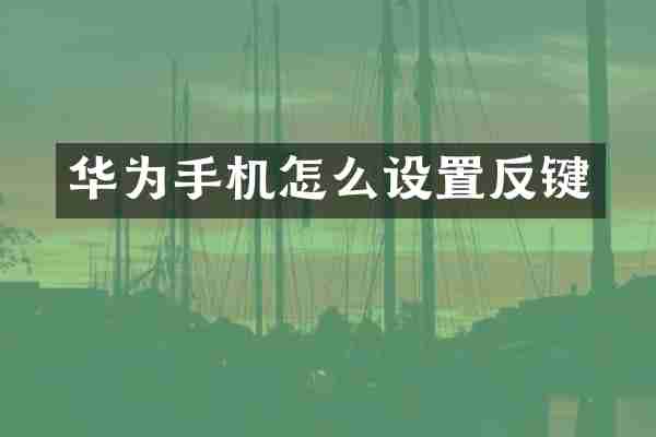 华为手机怎么设置反键